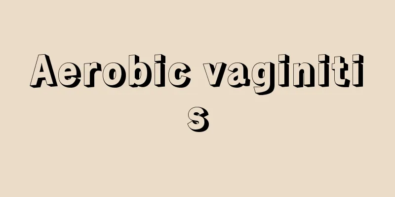 Aerobic vaginitis