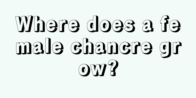 Where does a female chancre grow?