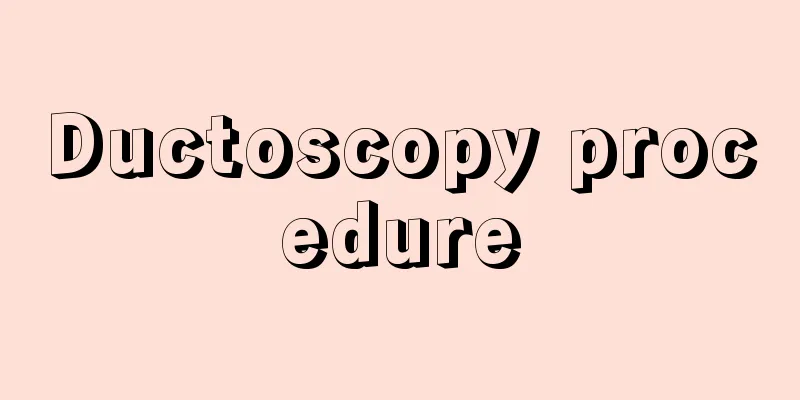 Ductoscopy procedure