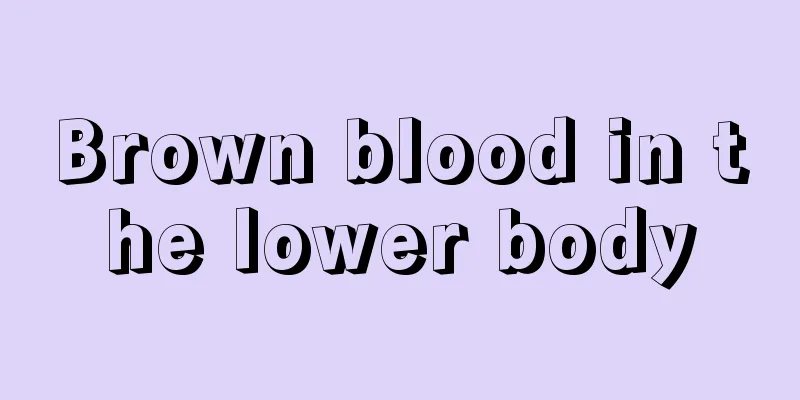 Brown blood in the lower body