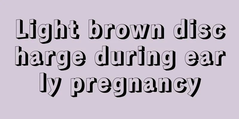 Light brown discharge during early pregnancy