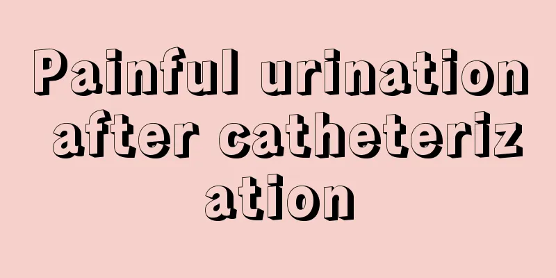 Painful urination after catheterization