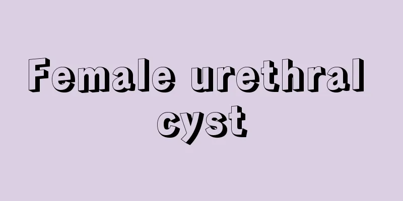 Female urethral cyst