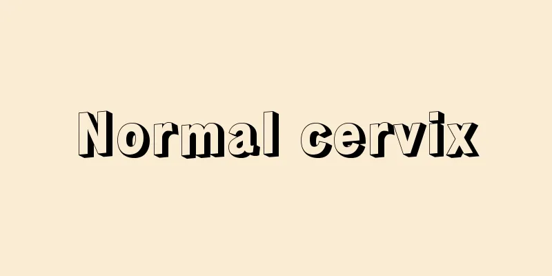 Normal cervix