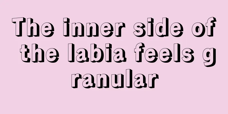 The inner side of the labia feels granular