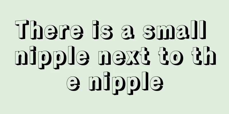 There is a small nipple next to the nipple