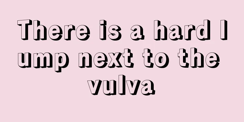 There is a hard lump next to the vulva