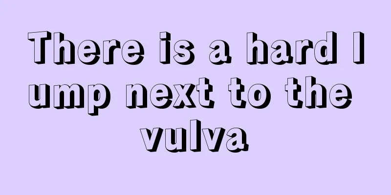 There is a hard lump next to the vulva