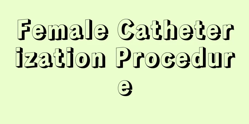 Female Catheterization Procedure