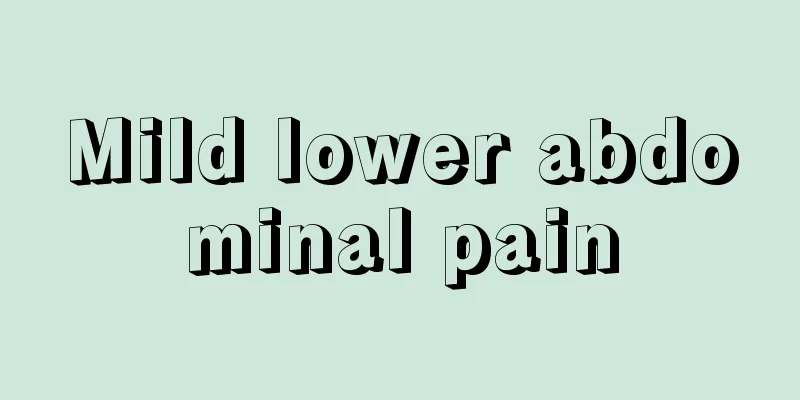 Mild lower abdominal pain