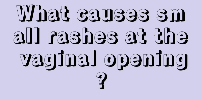 What causes small rashes at the vaginal opening?