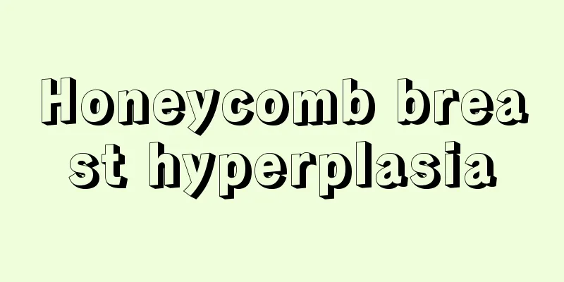 Honeycomb breast hyperplasia