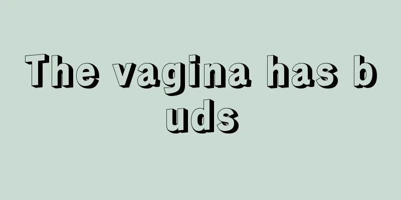 The vagina has buds