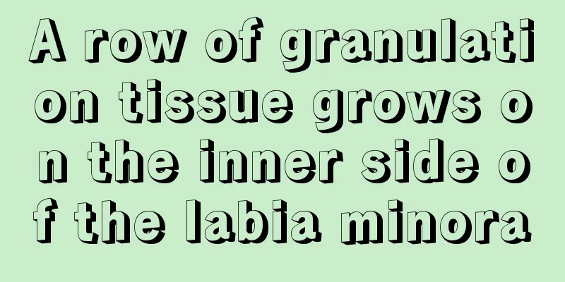 A row of granulation tissue grows on the inner side of the labia minora