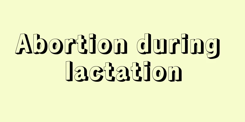 Abortion during lactation