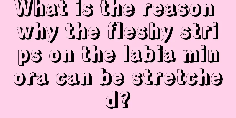 What is the reason why the fleshy strips on the labia minora can be stretched?