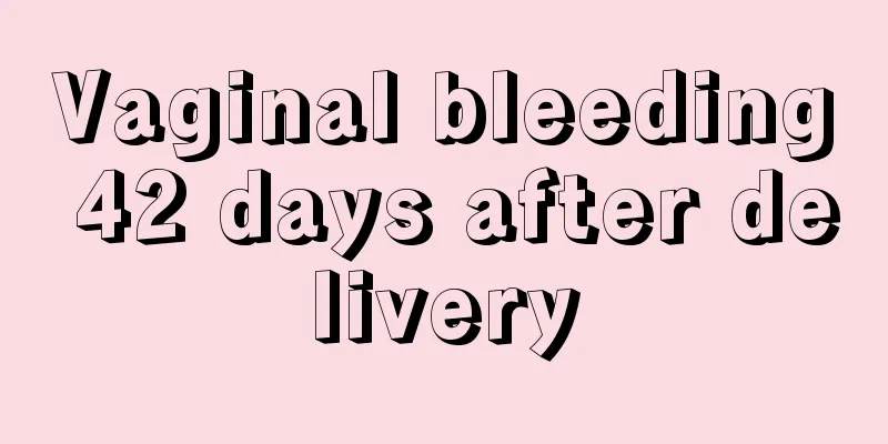 Vaginal bleeding 42 days after delivery