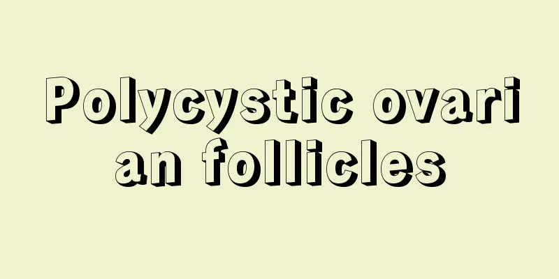 Polycystic ovarian follicles