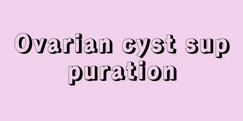 Ovarian cyst suppuration