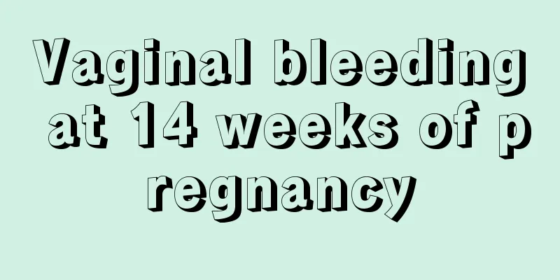 Vaginal bleeding at 14 weeks of pregnancy