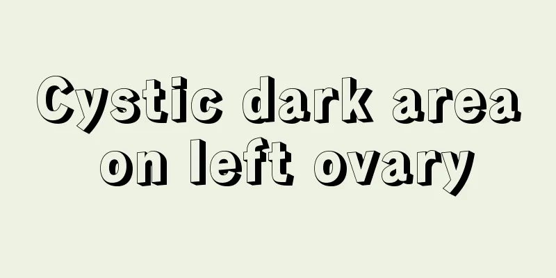 Cystic dark area on left ovary