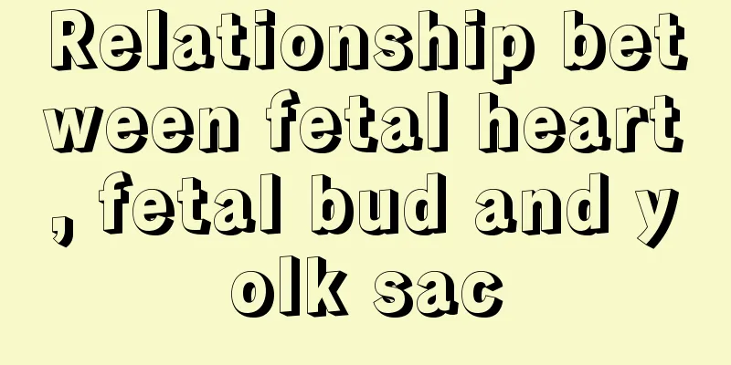 Relationship between fetal heart, fetal bud and yolk sac