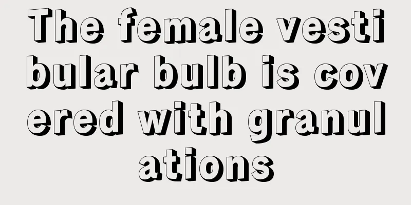 The female vestibular bulb is covered with granulations