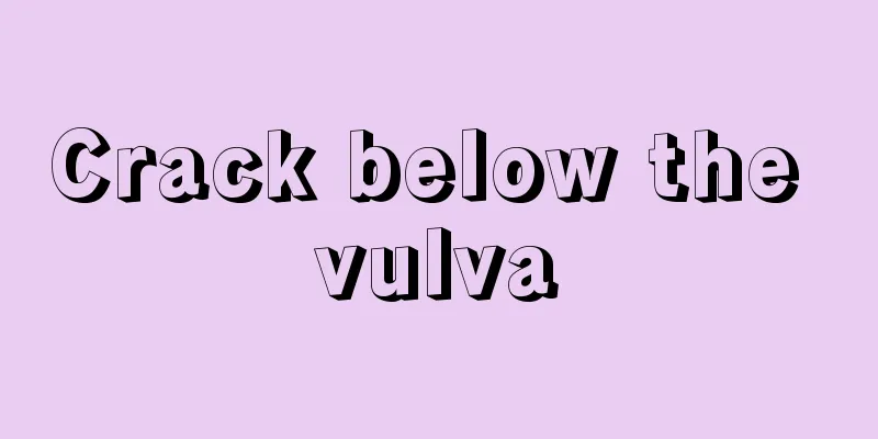 Crack below the vulva