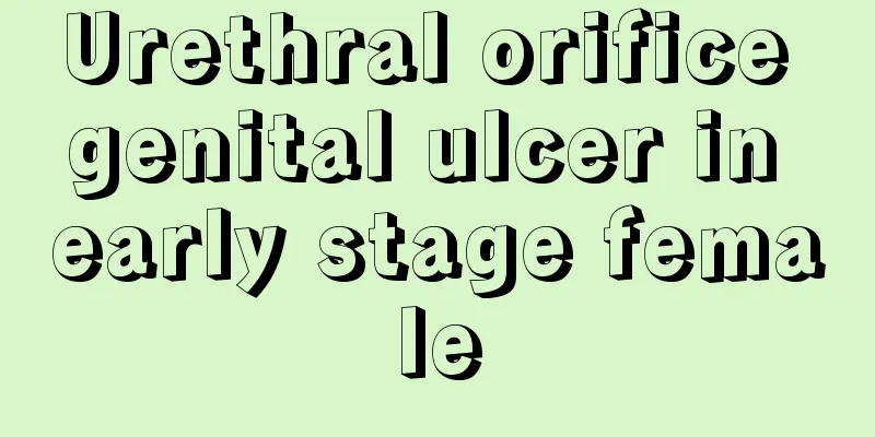 Urethral orifice genital ulcer in early stage female