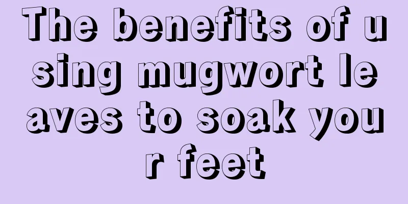 The benefits of using mugwort leaves to soak your feet