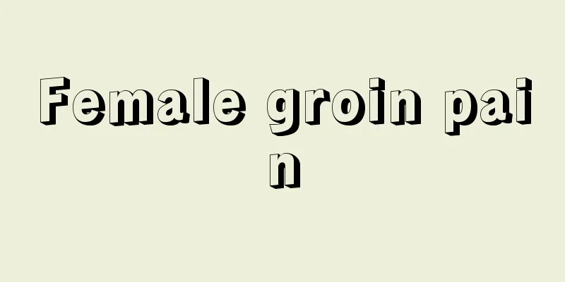 Female groin pain