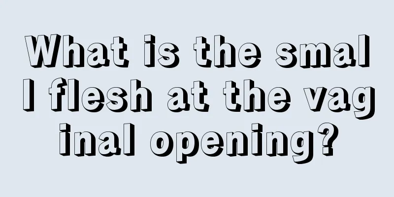 What is the small flesh at the vaginal opening?