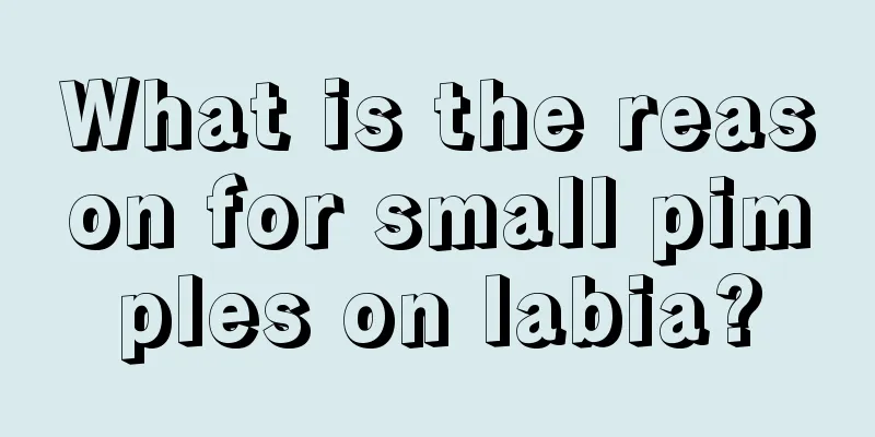 What is the reason for small pimples on labia?