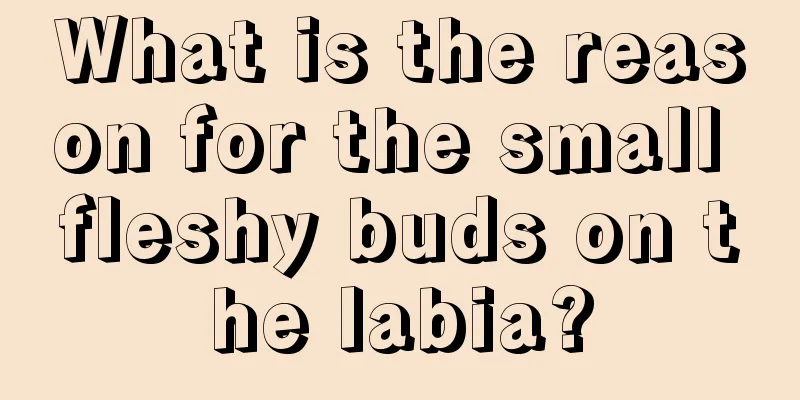 What is the reason for the small fleshy buds on the labia?