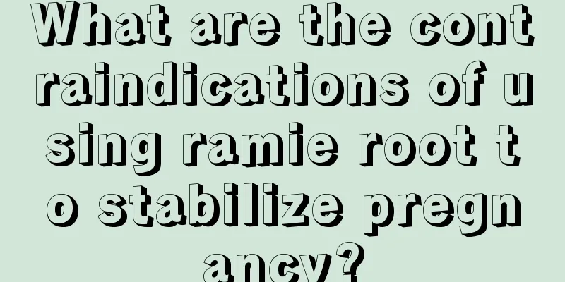 What are the contraindications of using ramie root to stabilize pregnancy?