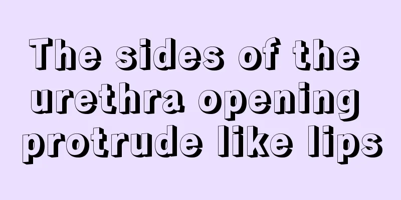 The sides of the urethra opening protrude like lips