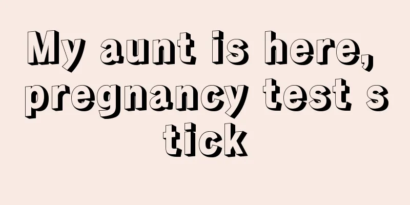 My aunt is here, pregnancy test stick