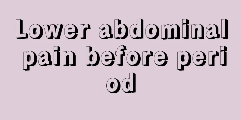 Lower abdominal pain before period