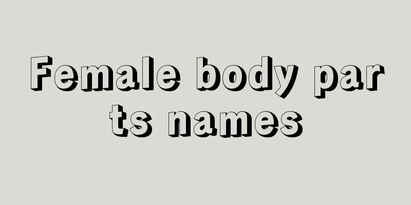 Female body parts names