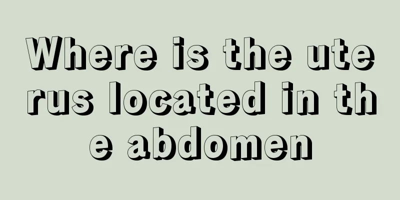 Where is the uterus located in the abdomen