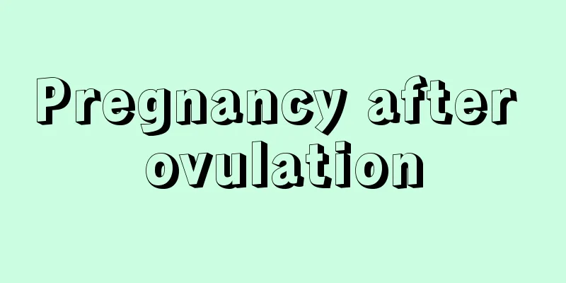 Pregnancy after ovulation