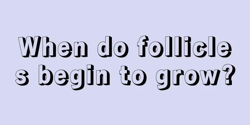 When do follicles begin to grow?