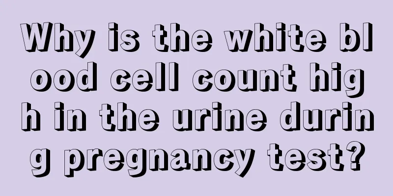 Why is the white blood cell count high in the urine during pregnancy test?