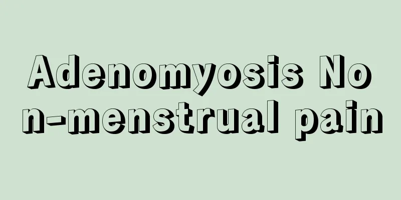 Adenomyosis Non-menstrual pain