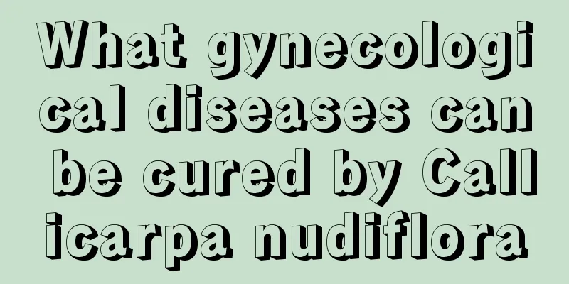 What gynecological diseases can be cured by Callicarpa nudiflora