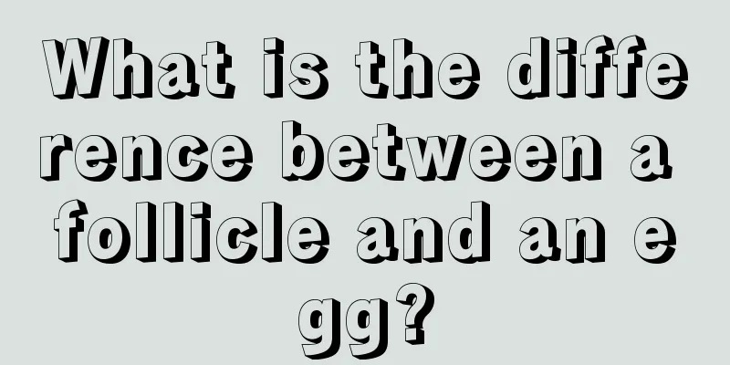 What is the difference between a follicle and an egg?