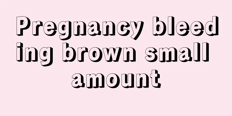 Pregnancy bleeding brown small amount