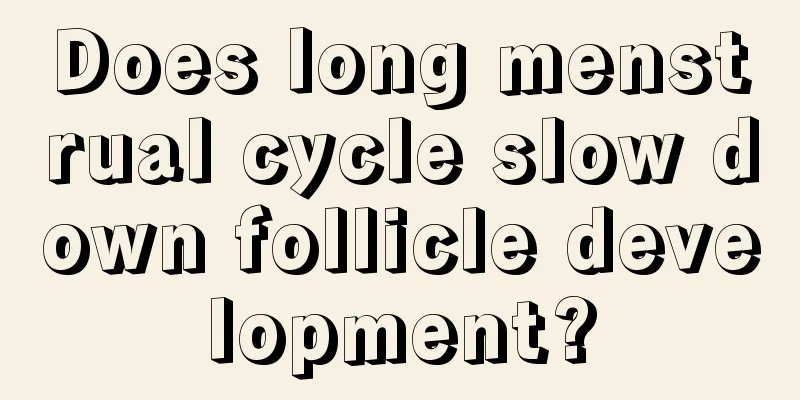 Does long menstrual cycle slow down follicle development?