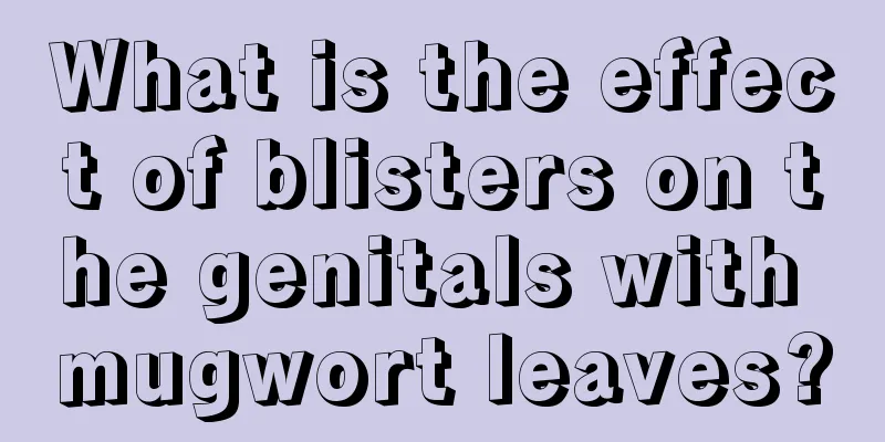 What is the effect of blisters on the genitals with mugwort leaves?