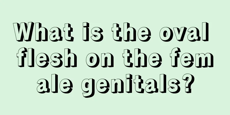 What is the oval flesh on the female genitals?